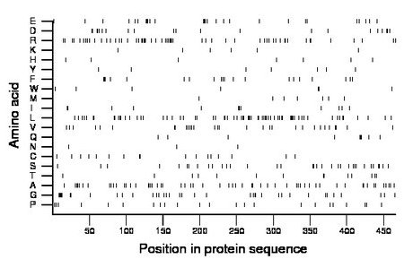 amino acid map