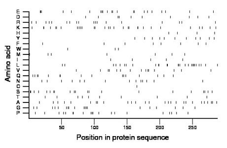 amino acid map