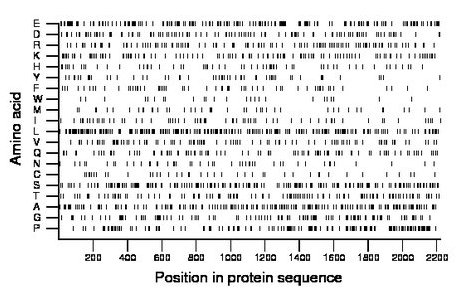 amino acid map