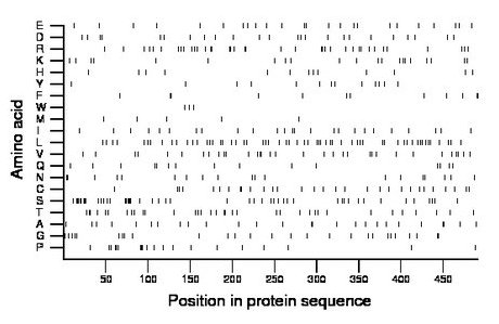 amino acid map