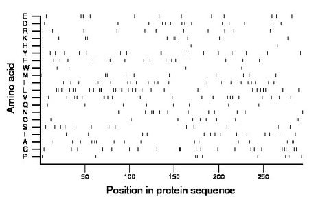 amino acid map