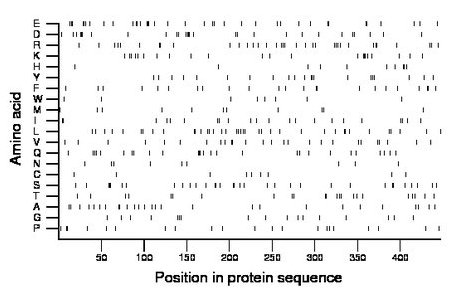 amino acid map