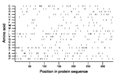 amino acid map