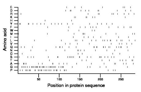 amino acid map