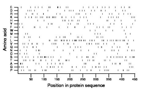 amino acid map