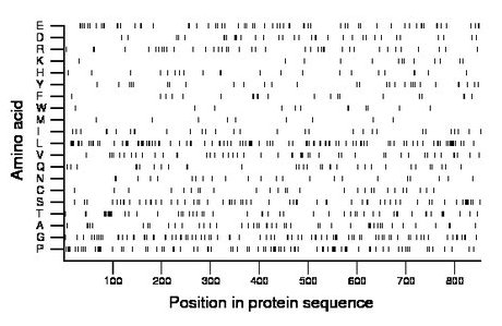 amino acid map