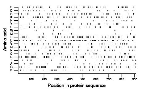 amino acid map