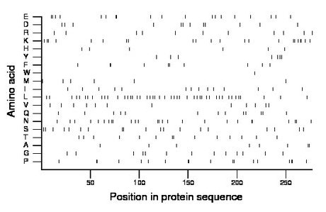 amino acid map