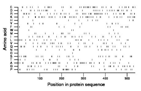 amino acid map