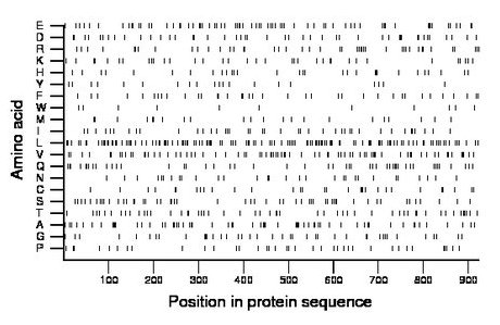 amino acid map