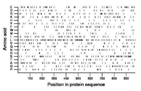 amino acid map