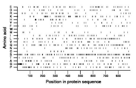 amino acid map