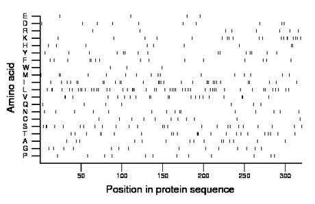 amino acid map