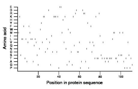 amino acid map