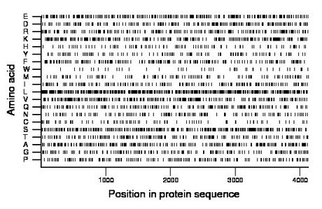 amino acid map