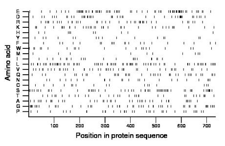 amino acid map