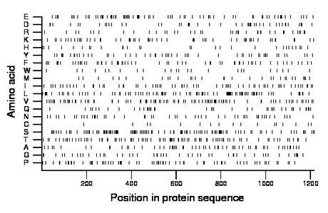 amino acid map