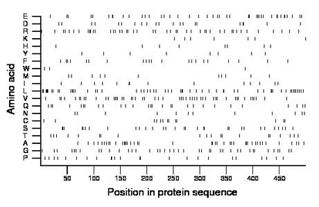 amino acid map