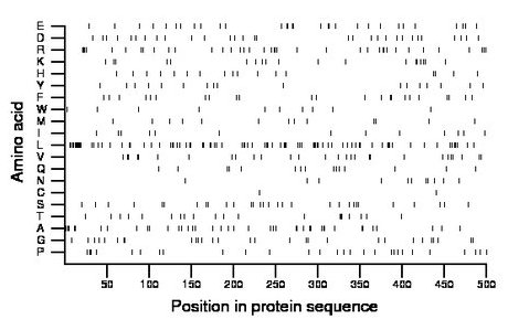 amino acid map