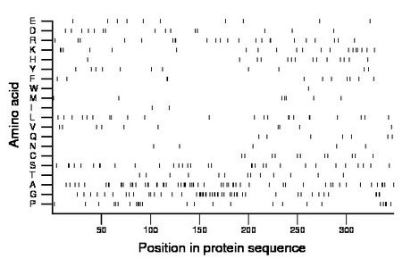 amino acid map