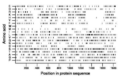 amino acid map