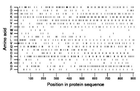 amino acid map