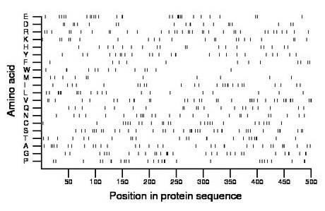 amino acid map