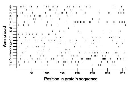 amino acid map