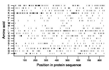 amino acid map