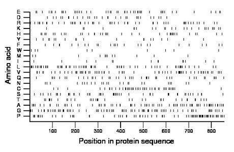 amino acid map