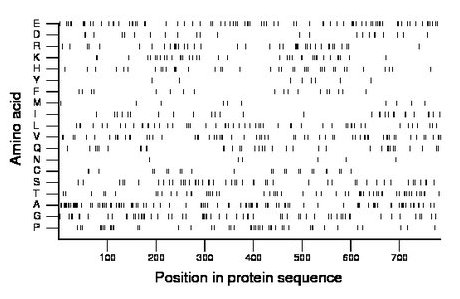 amino acid map