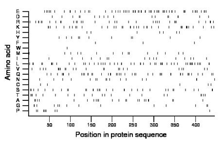 amino acid map