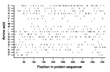 amino acid map