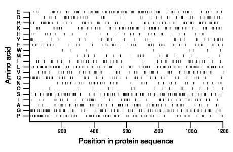 amino acid map