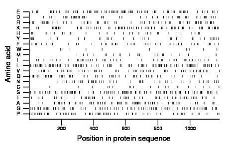 amino acid map