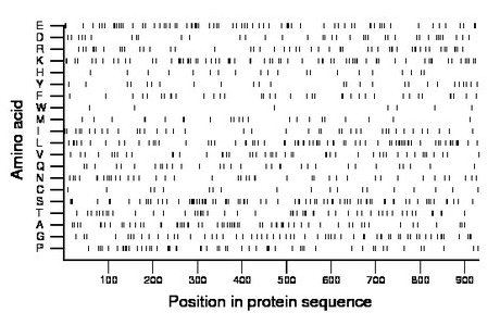 amino acid map