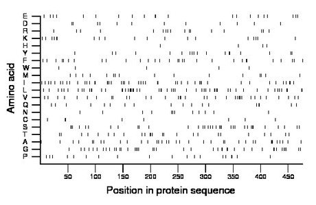 amino acid map