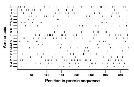 amino acid map