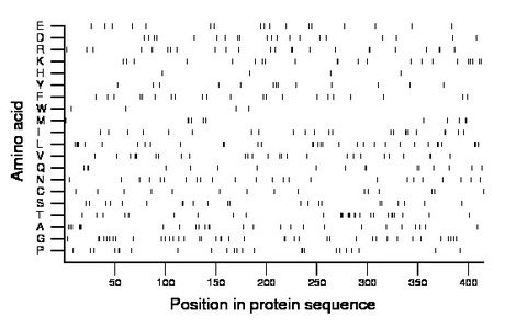 amino acid map