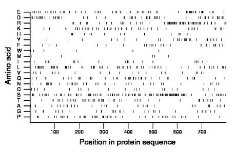 amino acid map