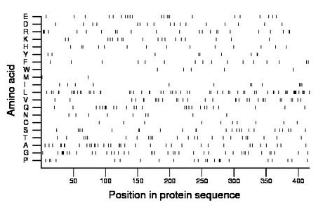 amino acid map