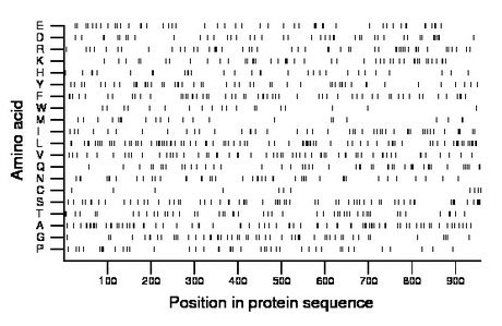 amino acid map