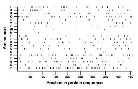 amino acid map