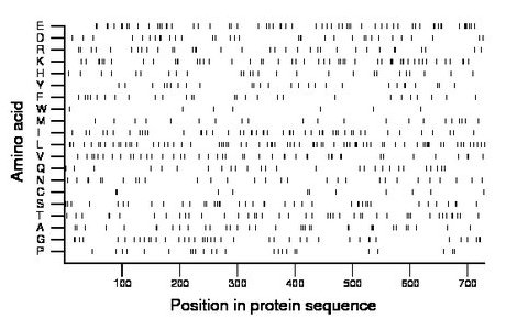 amino acid map