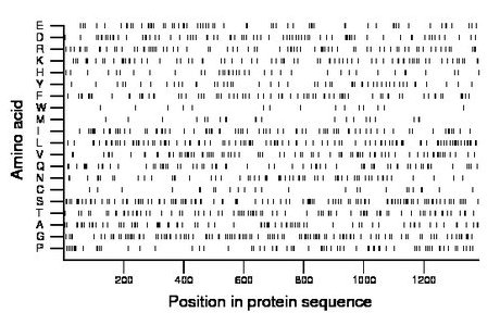 amino acid map