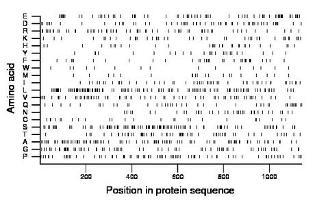 amino acid map