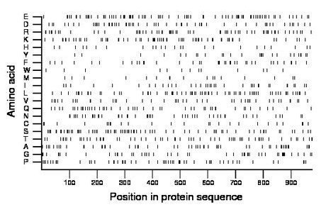 amino acid map