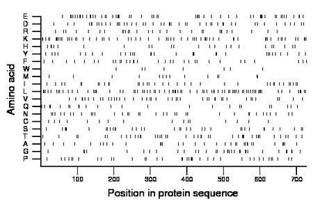 amino acid map