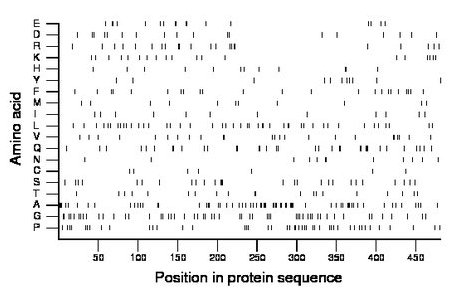 amino acid map