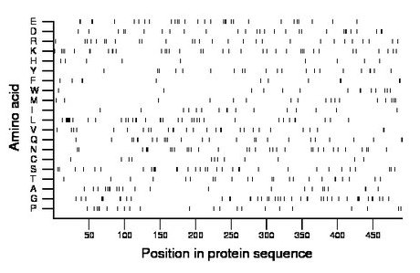 amino acid map